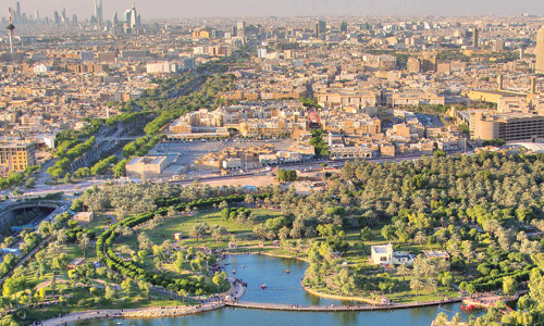 «السعودية الخضراء»: تعزيز حماية الغطاء النباتي وتحقيق التوازن البيئي 